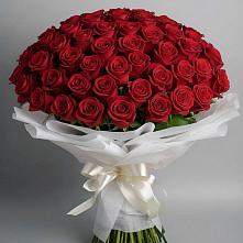 Букет 101 Красная роза Блэк Мэджик в Мечётинской