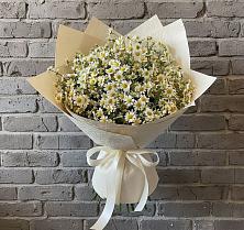 Букет цветов из:  Ромашки #REPLACE_PRED# Мечётинской