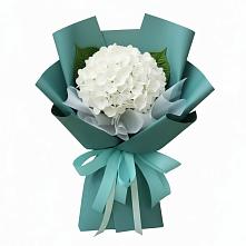 Букет цветов из:  Гортензия #REPLACE_PRED# Мечётинской